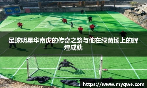 bsports